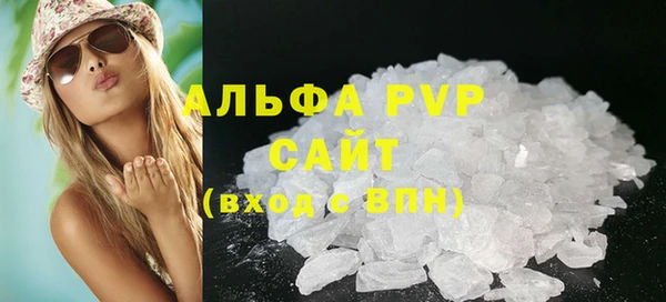 спиды Вяземский