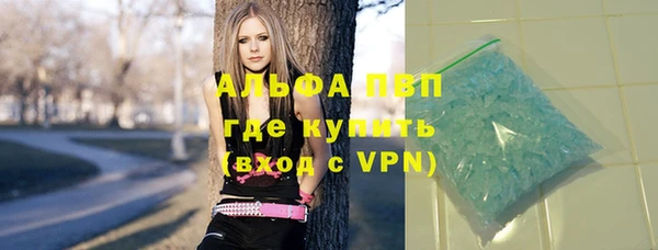 спиды Вяземский