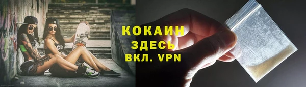 спиды Вяземский