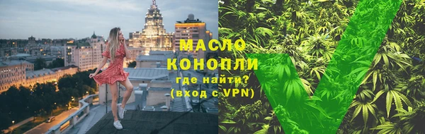 спиды Вяземский