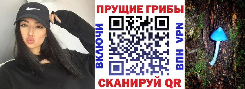 Галлюциногенные грибы MAGIC MUSHROOMS  где можно купить   Златоуст 